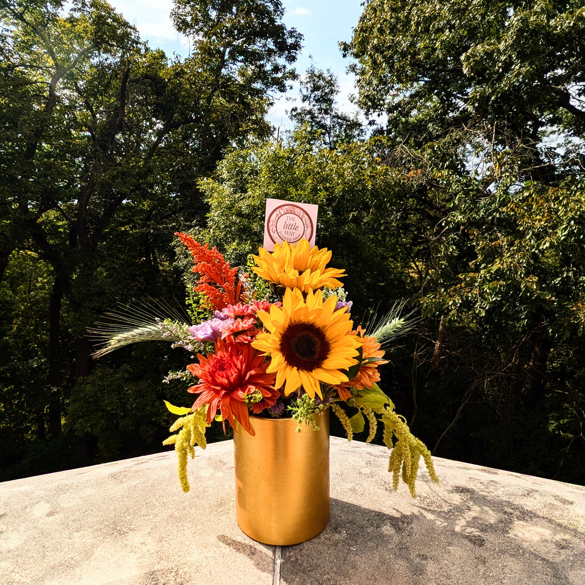Floral Gallery - September, 2025