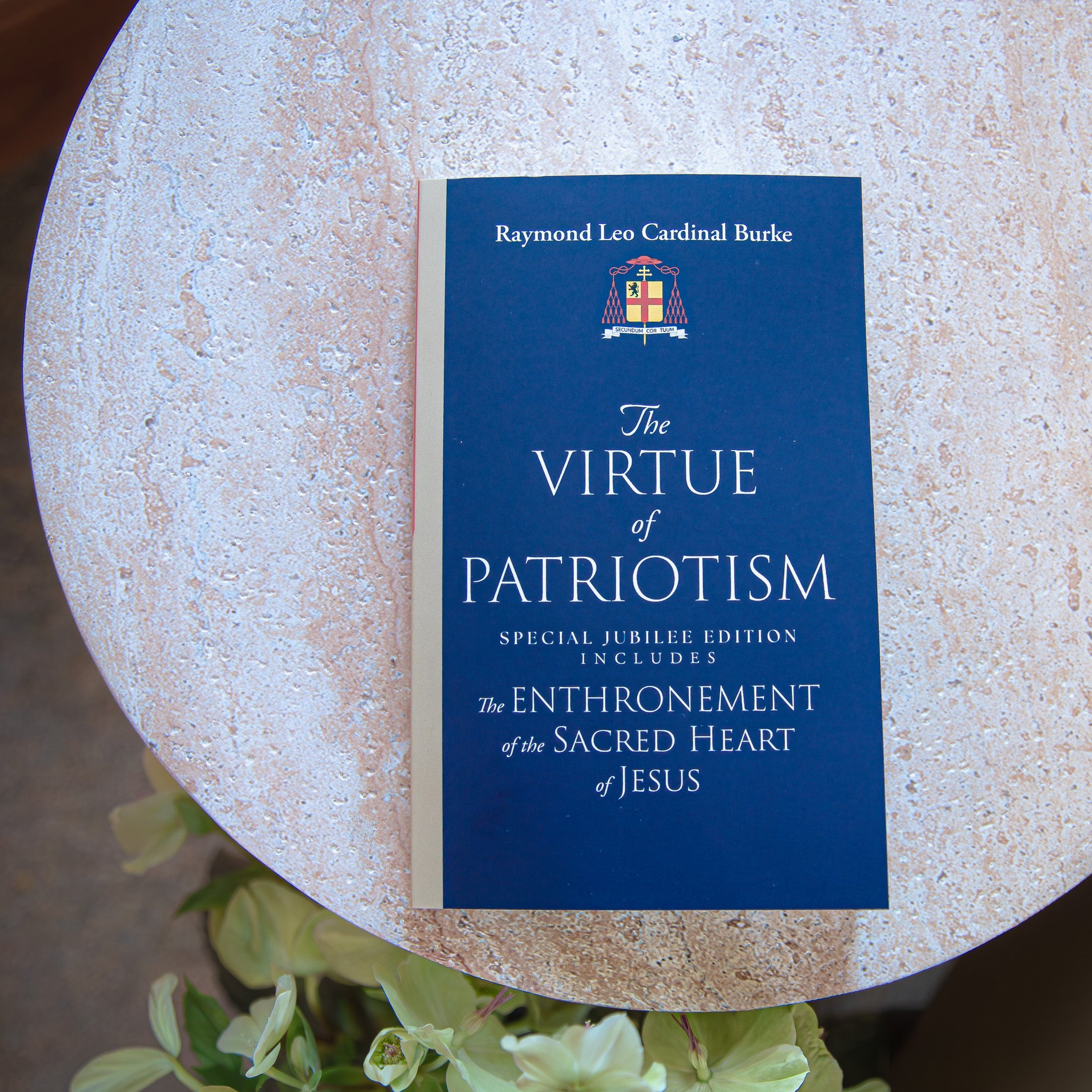 Cardinal Burke's New Books