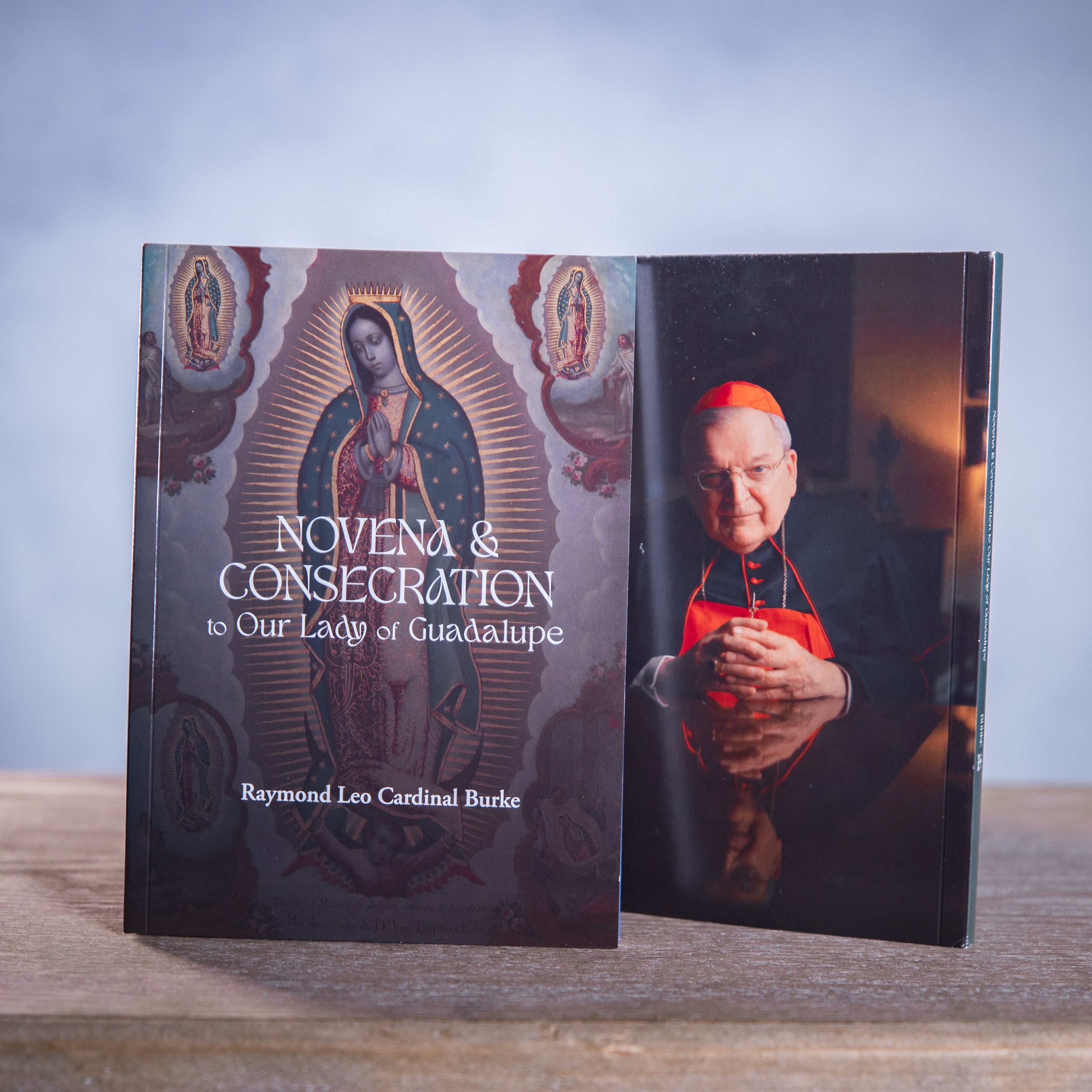 Novena and Consecration to Our Lady of Guadalupe : For Nine Days or Nine Months - Full Color Version