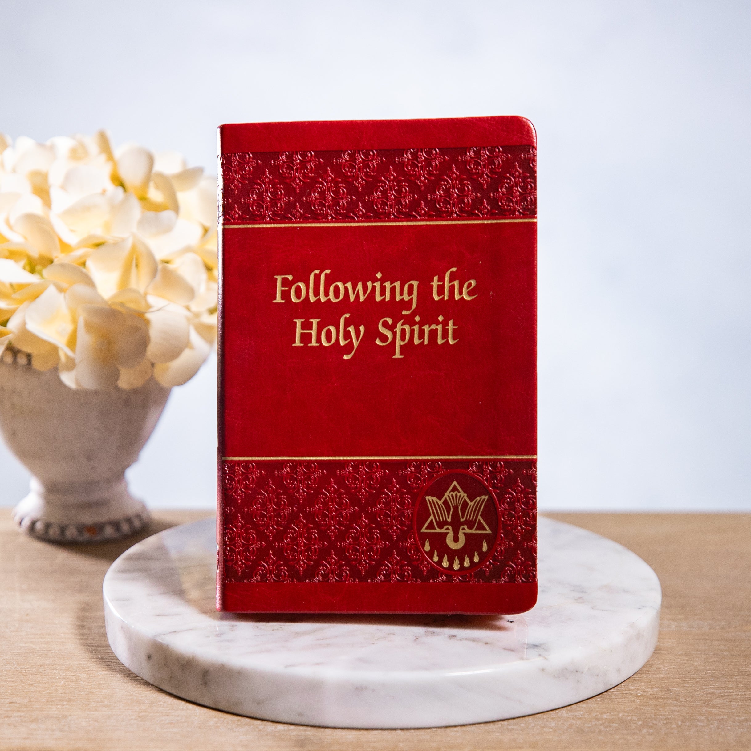 Following the Holy Spirit