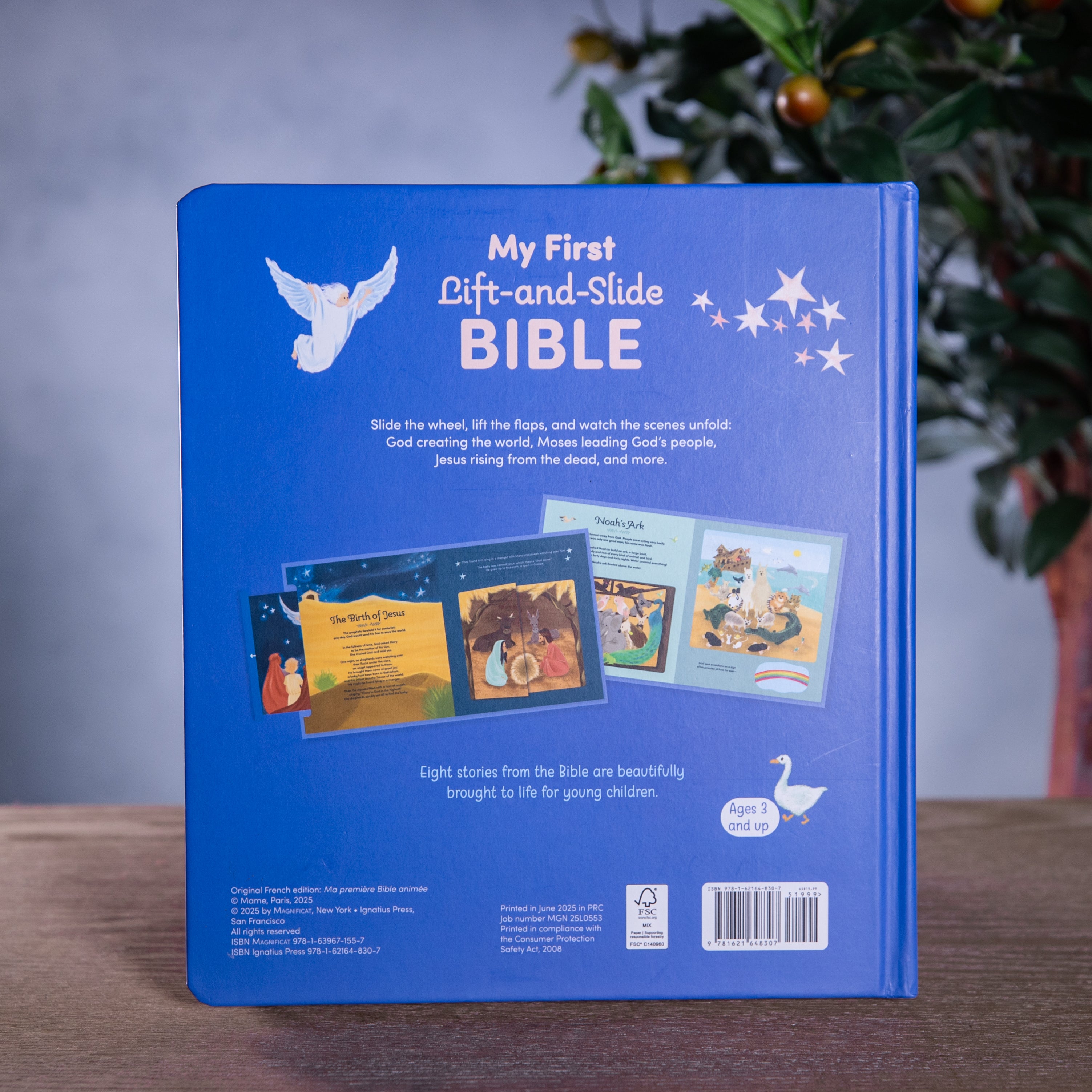 My First Lift and Slide Bible