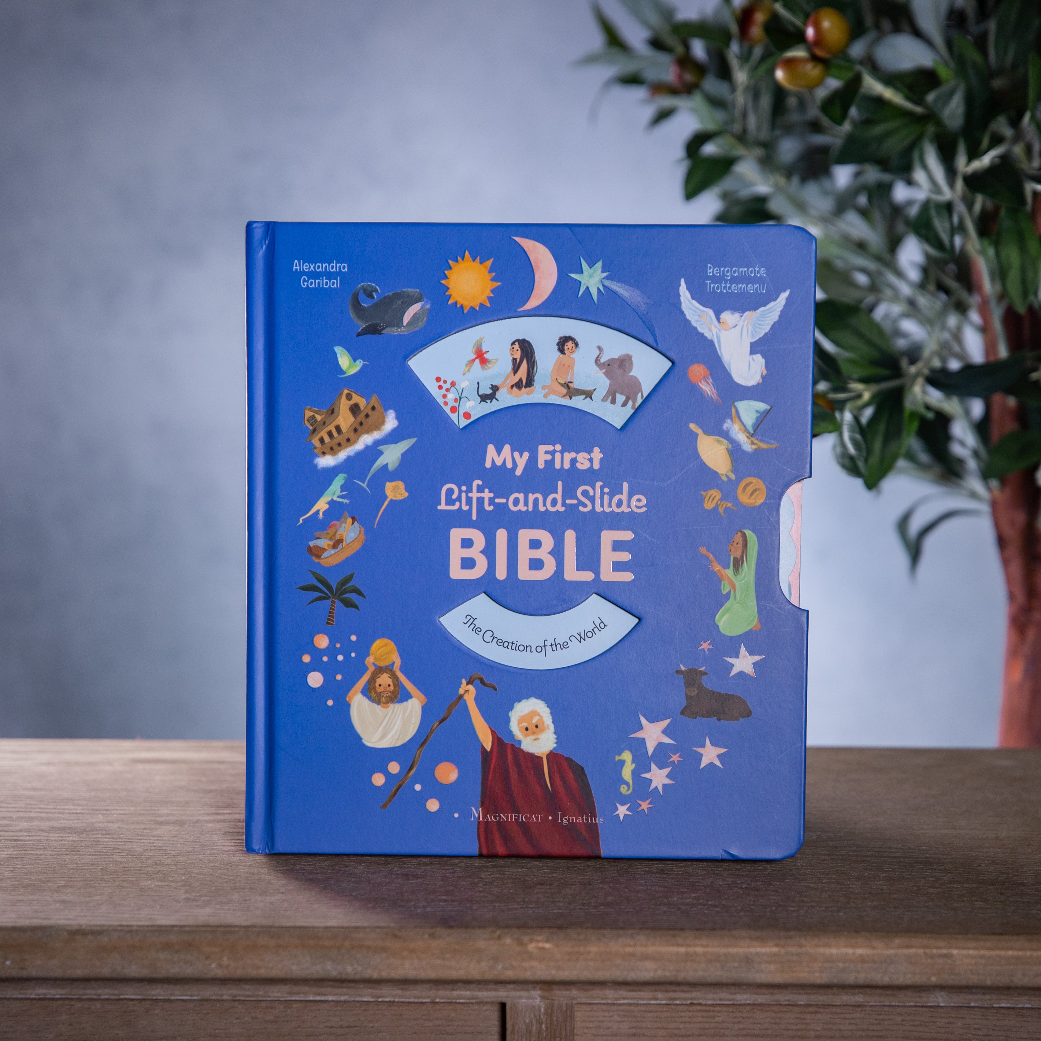 My First Lift and Slide Bible