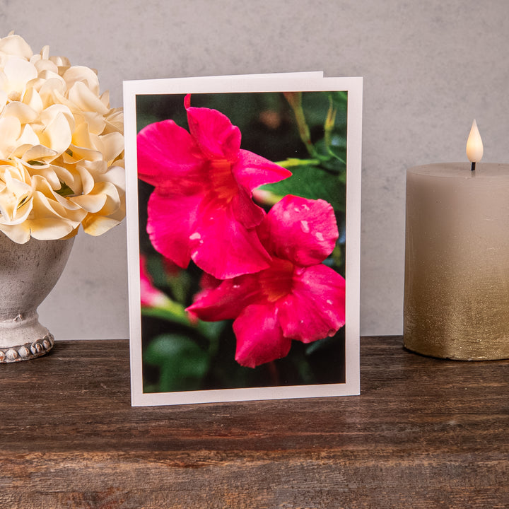 Boxed Shrine Grounds Flower Cards - 10pk