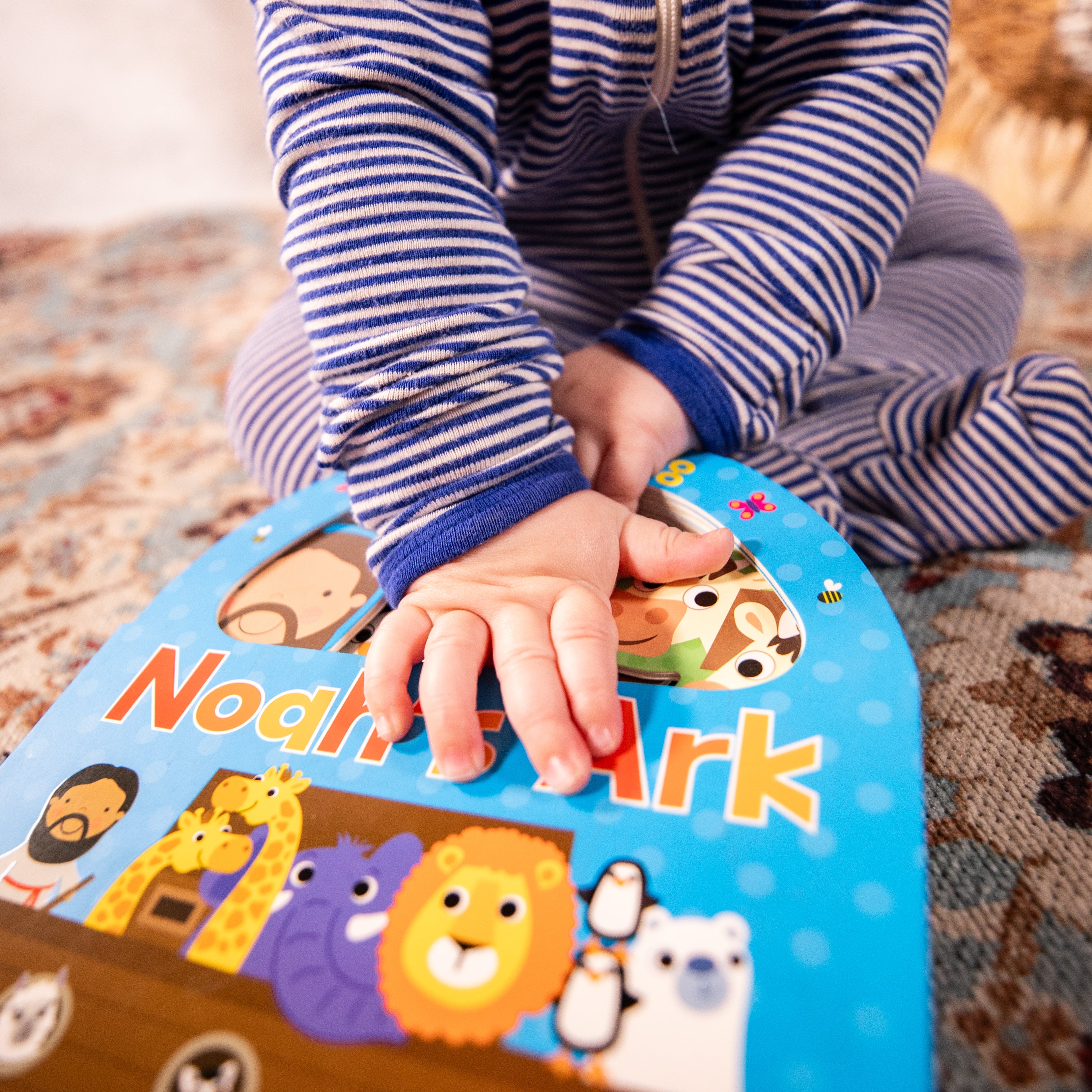 Book - Carry Along Noah's Ark