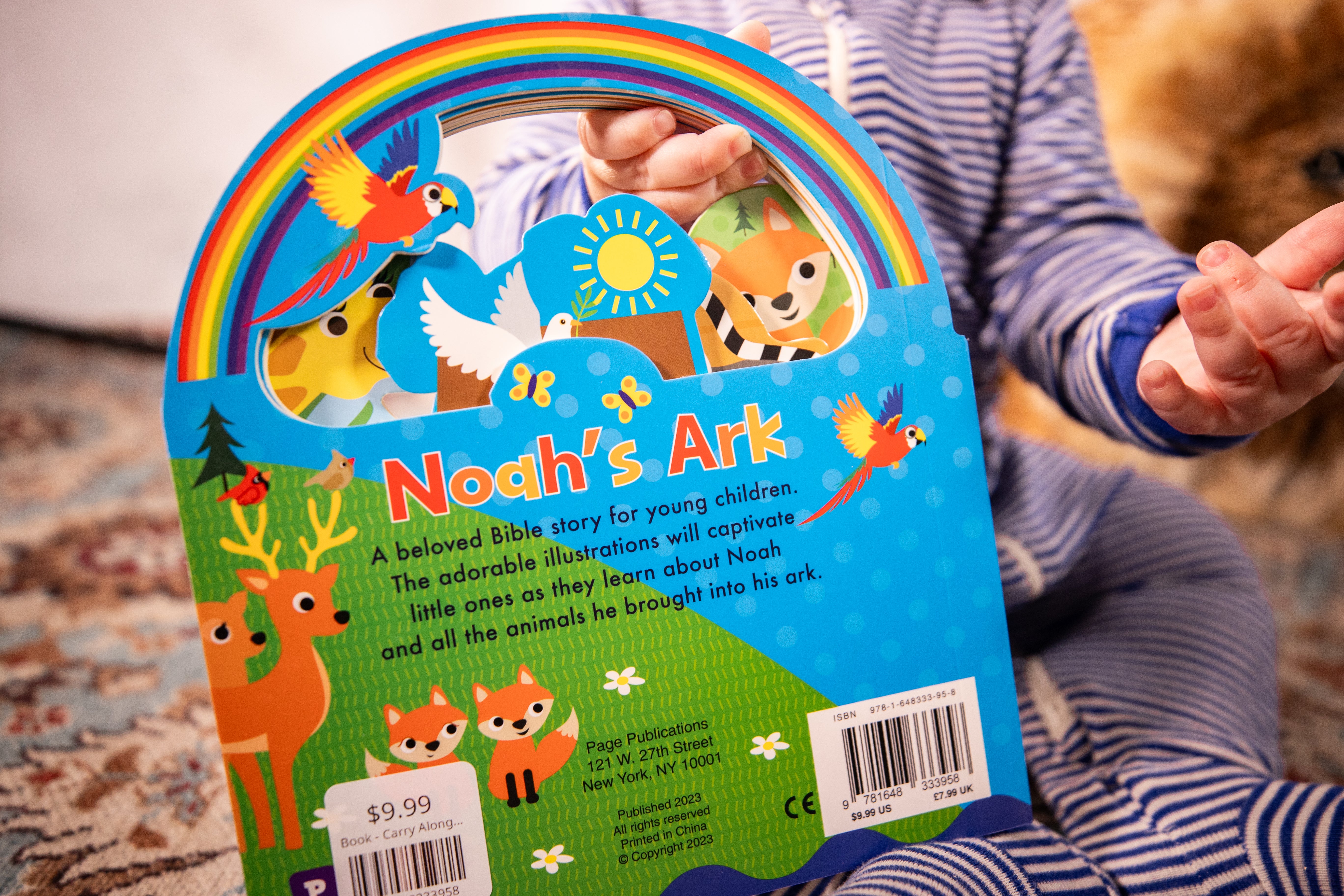 Book - Carry Along Noah's Ark