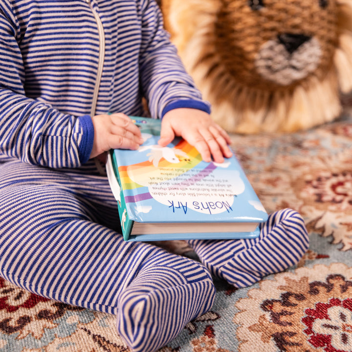 Book - Noah&