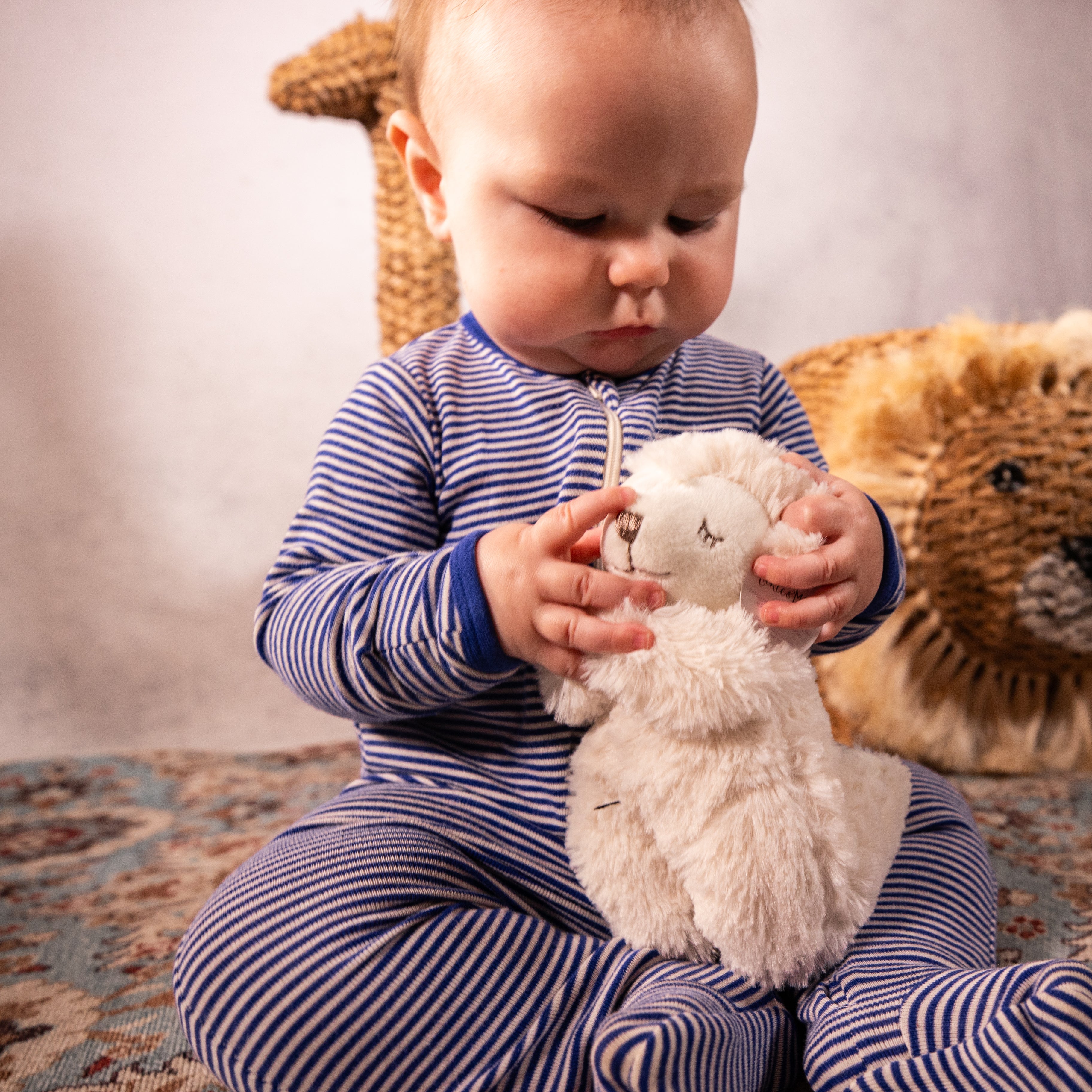 Plush Gift Set - God Bless Baby - Book - Praying Lamb