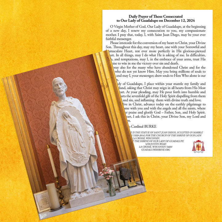 Daily Consecration Prayer Card