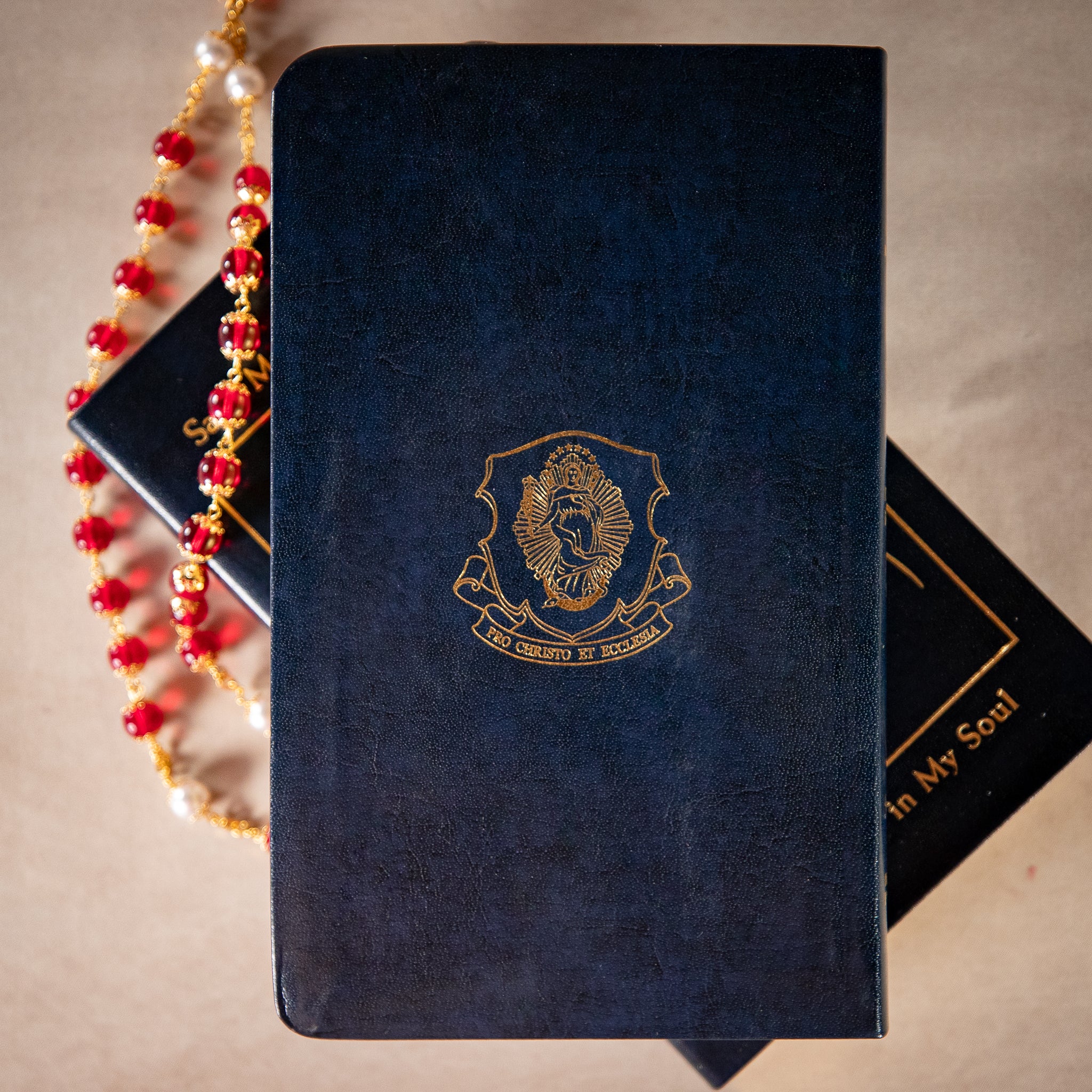 Divine Mercy in My Soul