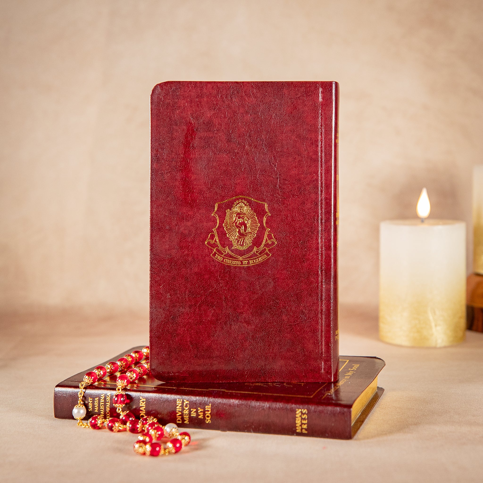 Divine Mercy in My Soul