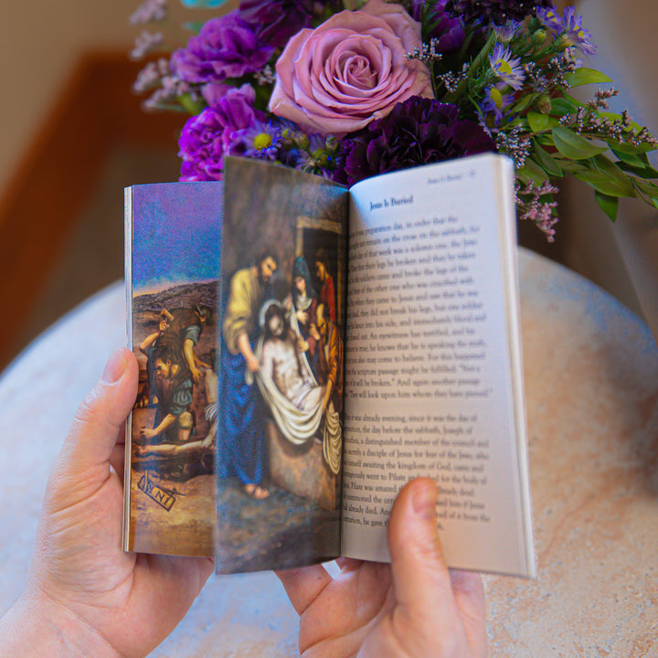 Book - The Passion of Our Lord