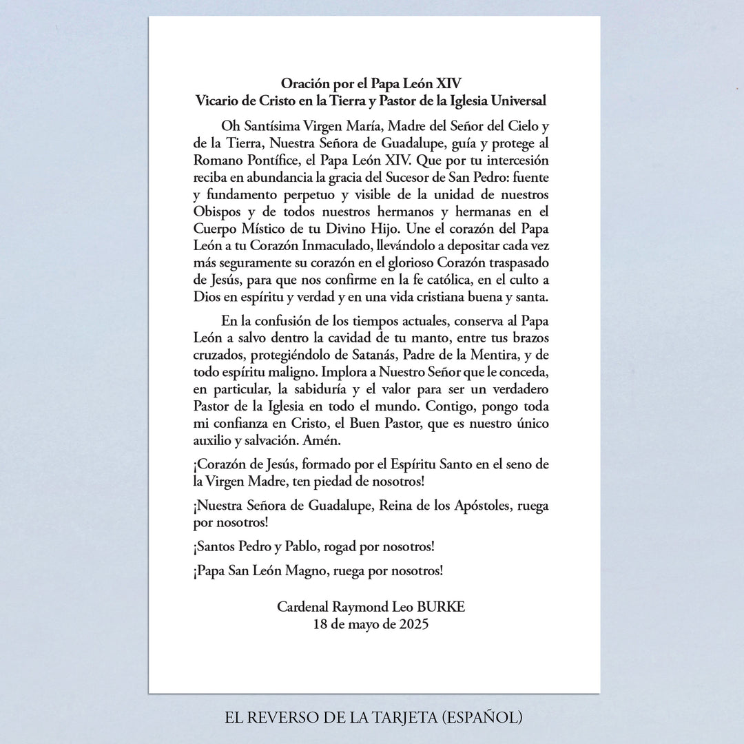 Prayer for Pope Leo XIV by Cardinal Burke
