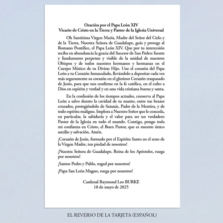 Prayer for Pope Leo XIV by Cardinal Burke