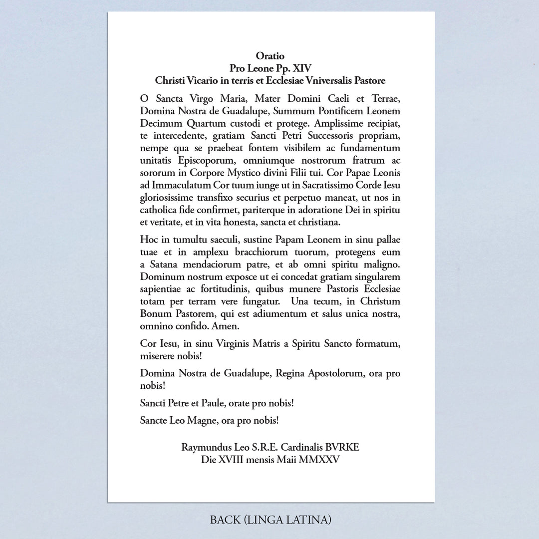 Prayer for Pope Leo XIV by Cardinal Burke