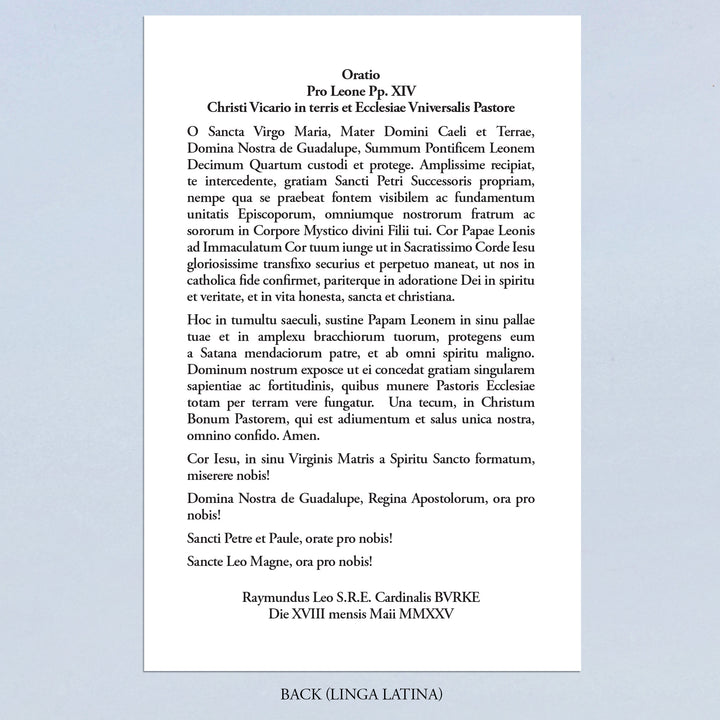Prayer for Pope Leo XIV by Cardinal Burke
