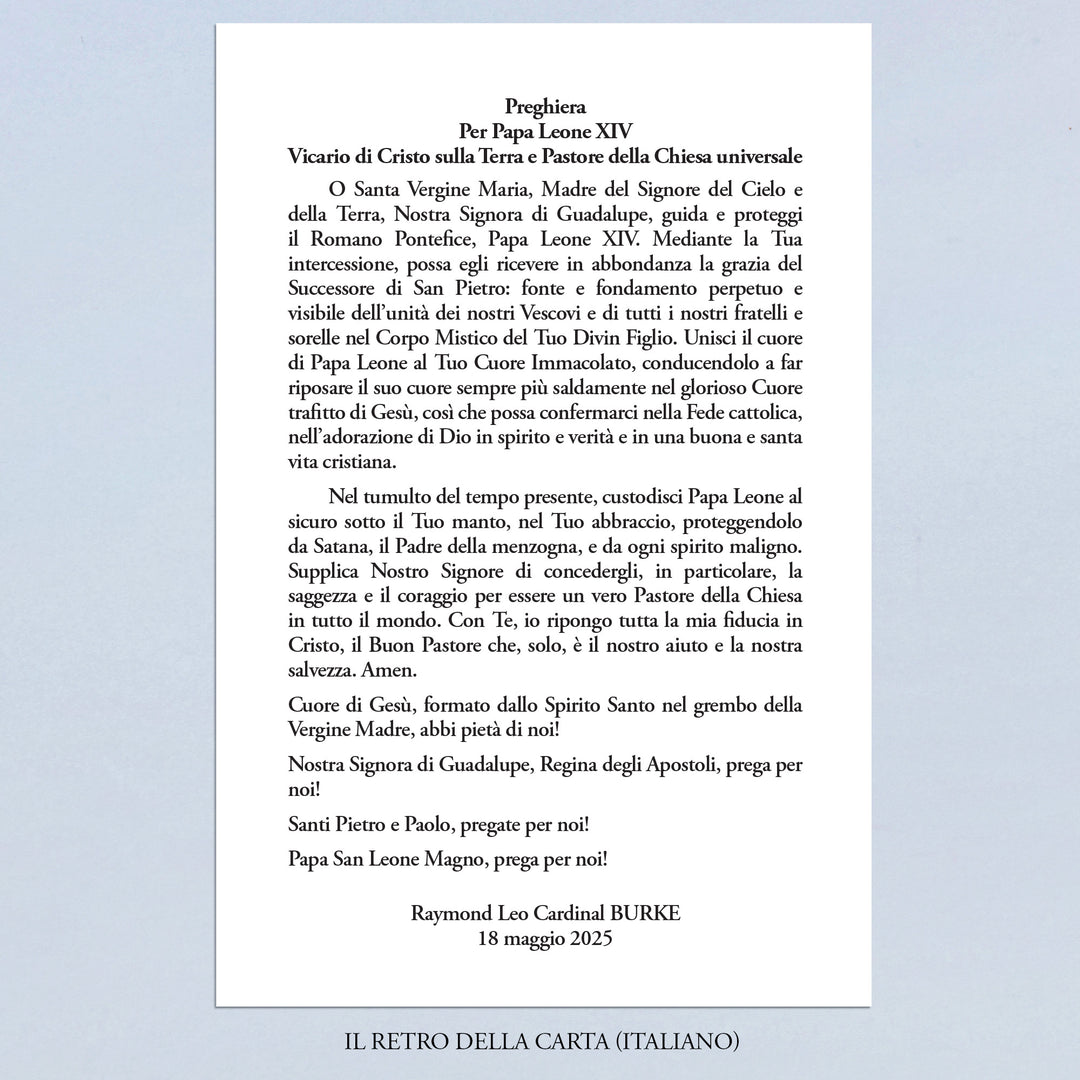 Prayer for Pope Leo XIV by Cardinal Burke
