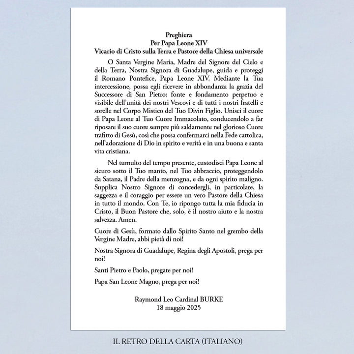 Prayer for Pope Leo XIV by Cardinal Burke