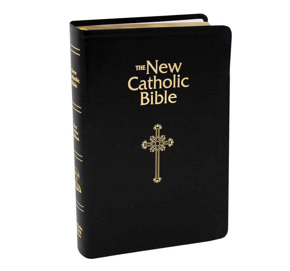 Holy Bible - NCB Deluxe Gift