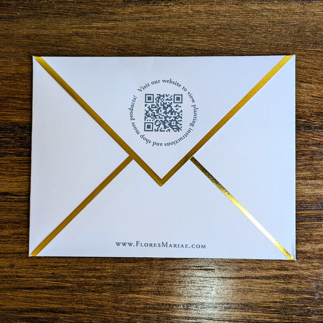 Seed Card - He Who Plants Kindness