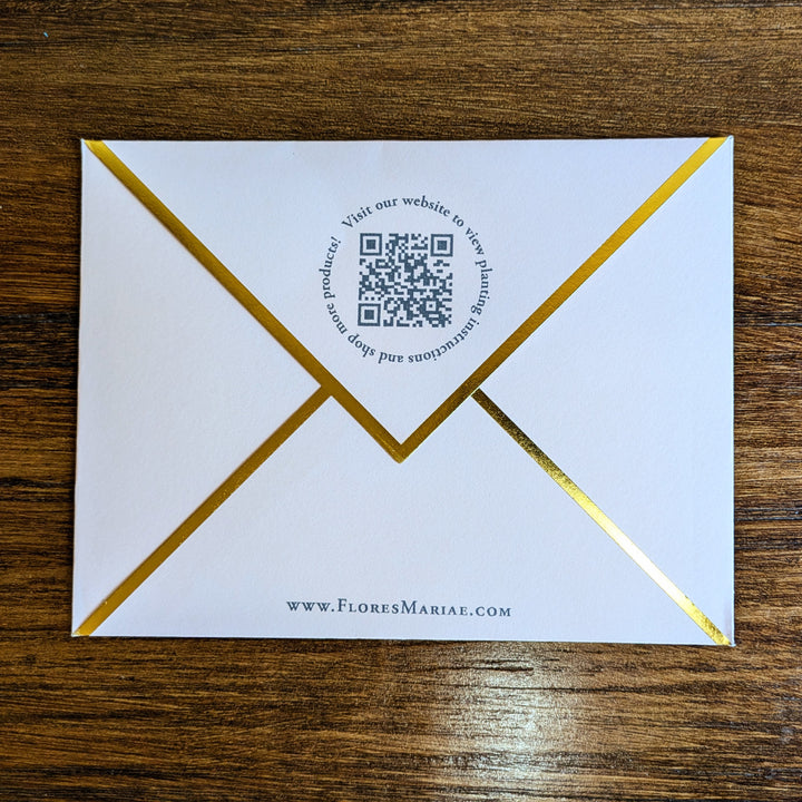 Seed Card - Set the World on Fire