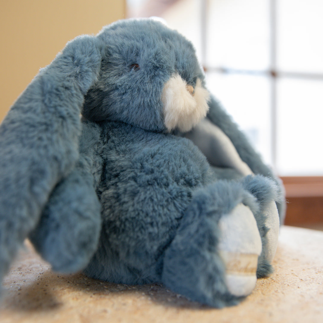 Blue Plush Bunny