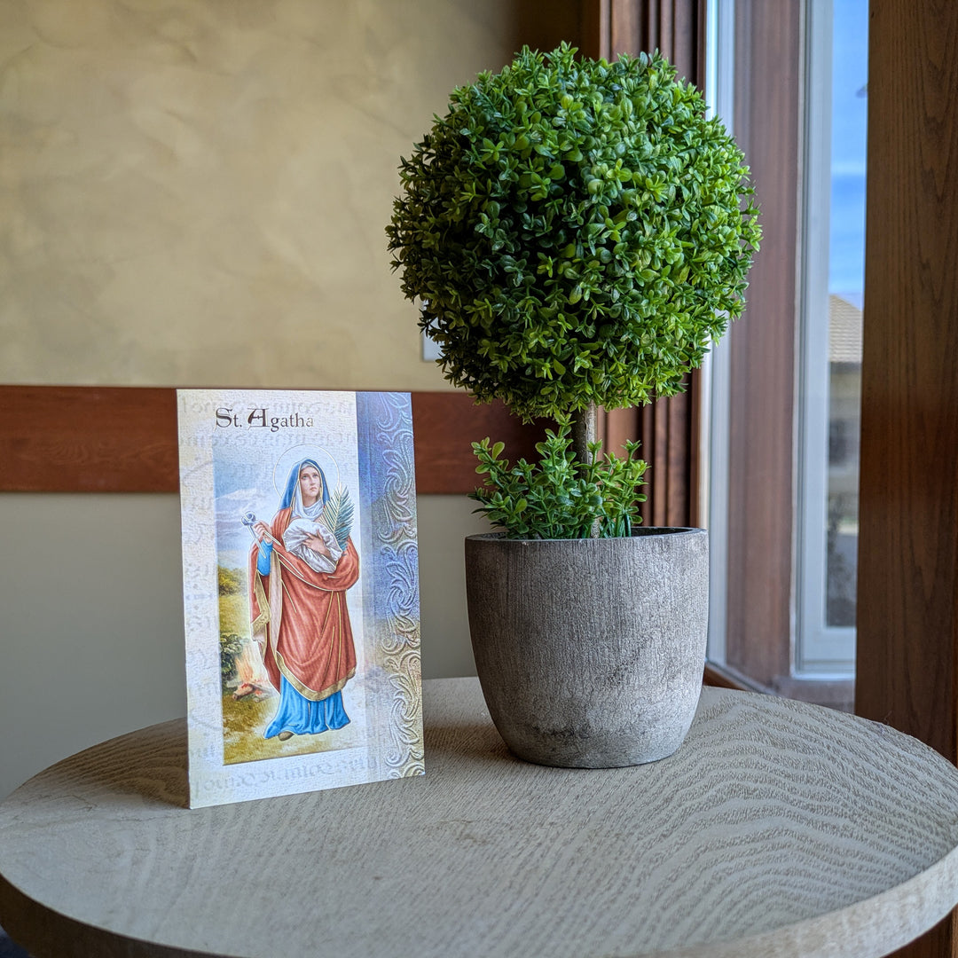Pamphlet - Saint Agatha - Biography