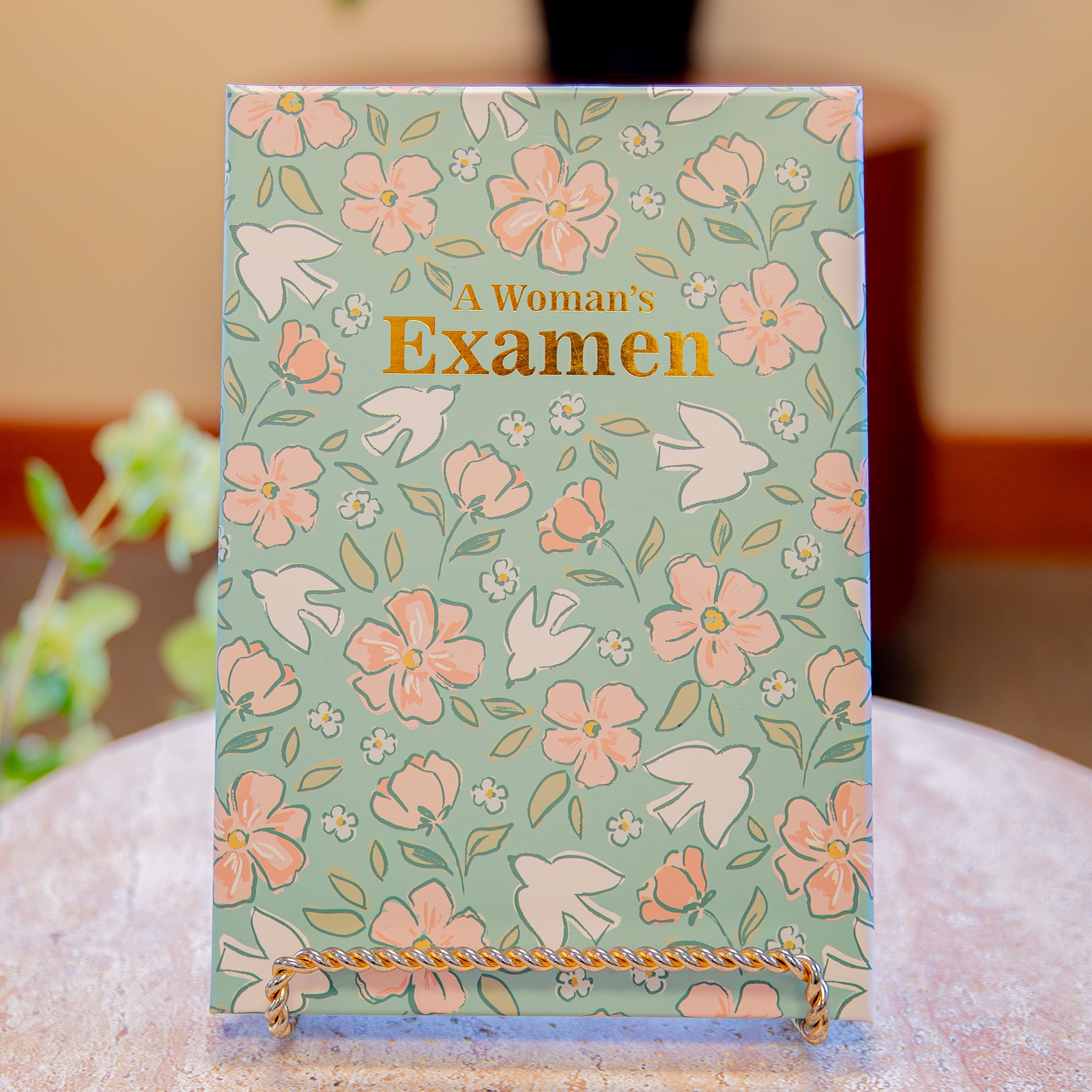 Women's Daily Examen Prayer Journal