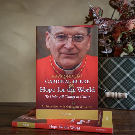 Hope for the World: To Unite All Things in Christ
