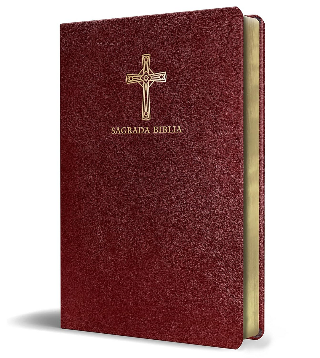La Biblia Catolica Comp Piel